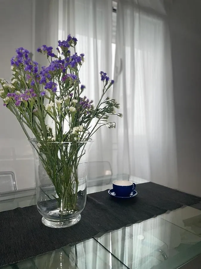 D-Alameda Apartment Cadiz Spain